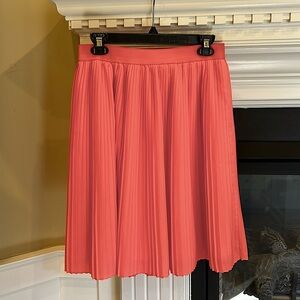 Pleated Knee Length Skirt